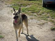 SAM_0944