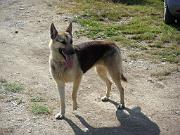 SAM_0945