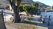 DJI_0281