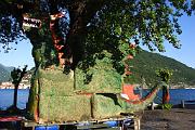 IMG_8149
