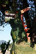 IMG_8151