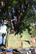 IMG_8152