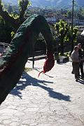 IMG_8174