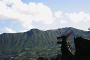 IMG_8178