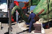 IMG_8219
