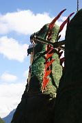 IMG_8225