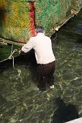 IMG_8252