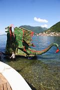 IMG_8268