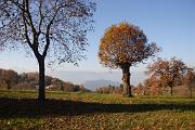 IMG_5944