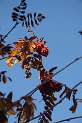 IMG_5950