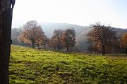 IMG_5959