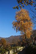 IMG_5965