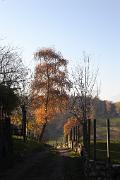 IMG_5973
