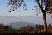 IMG_5974