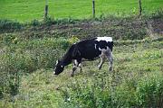 IMG_6031