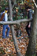 IMG_6038
