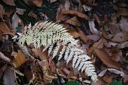 IMG_6057