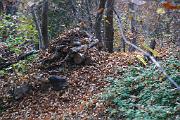 IMG_6078