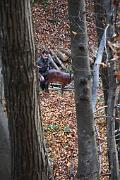IMG_6097