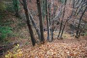 IMG_6098
