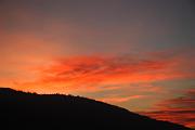 IMG_6128