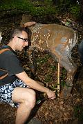 IMG_6262