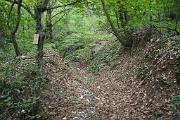 IMG_7356