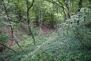 IMG_7361