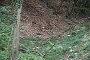 IMG_7362