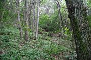 IMG_7396