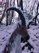 AdD2019_GP_0031