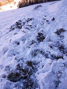 AdD2019_GP_0050