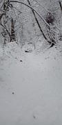 NistisinoNeve04