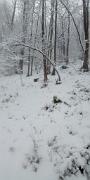 NistisinoNeve14
