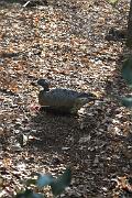 IMG_4405
